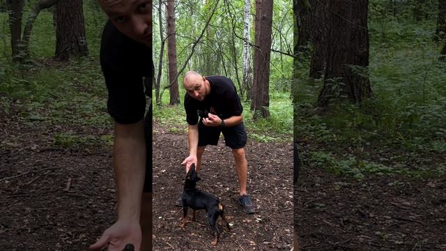 команда - Цель смотреть онлайн