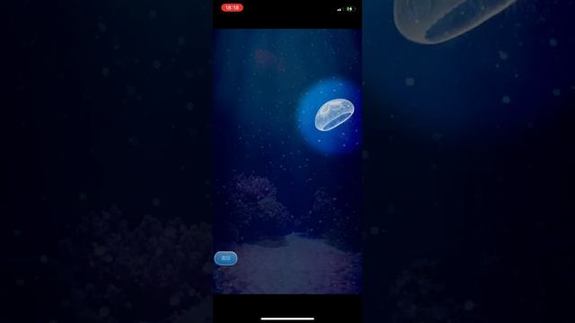 ［養殖計畫］海蜇/水母養殖 Day.84 смотреть онлайн