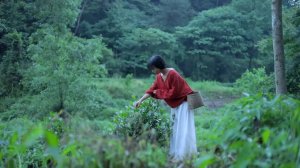 Прохладное и сладкое ягодное мороженое | Ice cream made from sweet berries