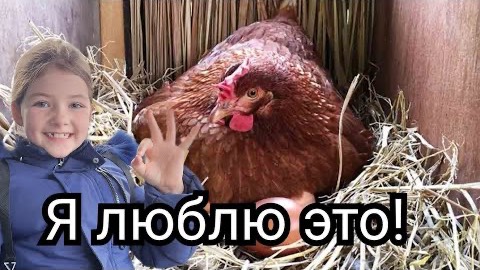 Канадская семья в НН.. DEMOCRACY in Russia! смотреть онлайн