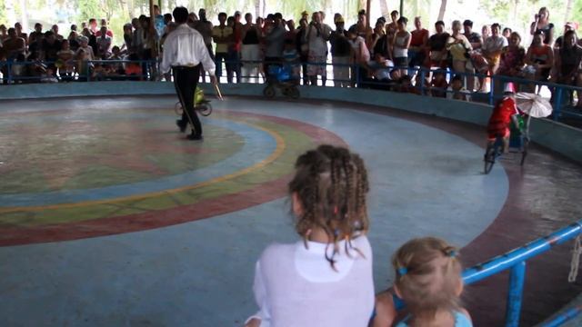 Обезьянки катаются на велосипеде смотреть онлайн