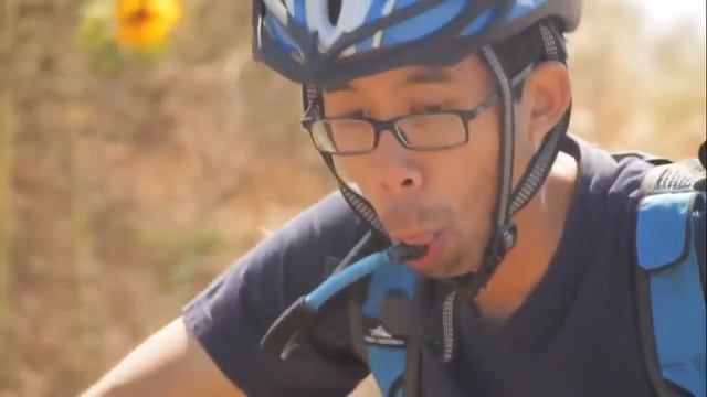 Милые овечки и турист