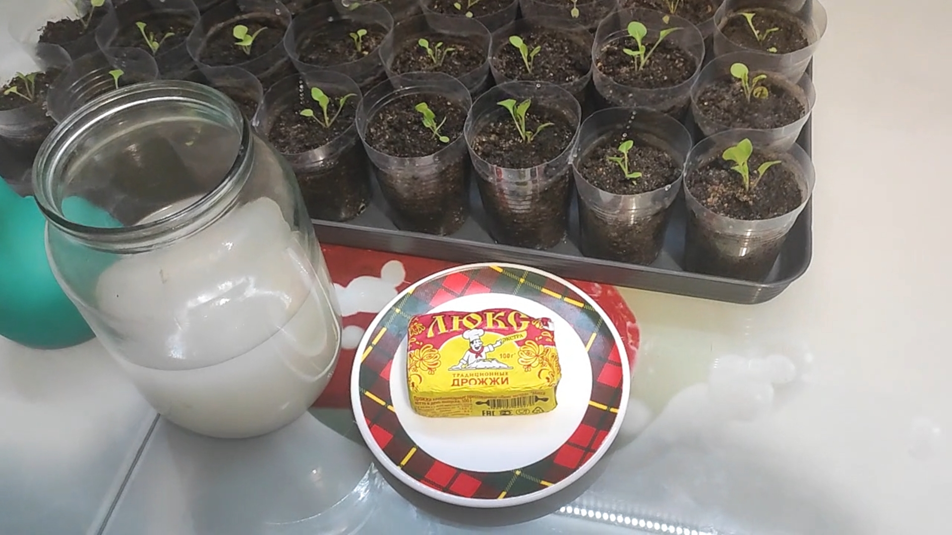 ГОТОВЛЮ ПОДКОРМКУ ДЛЯ РАССАДЫ. смотреть онлайн