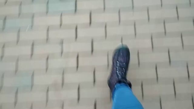 Я тестирую Nordman Click в Калининграде. Комбинированная прогулка 15.01.2020 смотреть онлайн