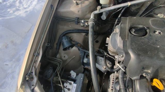 Toyota Allex и Honda Stepwgn