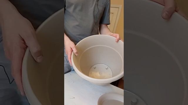 Подготовка пластикового горшка для пересадки Туласи смотреть онлайн