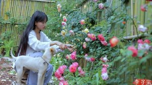 (Побеги бамбука)Нежные побеги бамбука самые вкусные, чем больше, тем лучше.