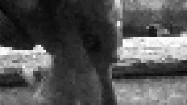 MLP: Клип Aron-Chupa-im-an-Albatraoz смотреть онлайн