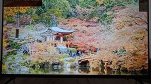 телевизор konka b43