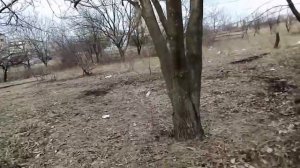 РАНДОНАВТИКА | ЧТО МЫ НАШЛИ? Часть 1.