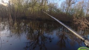 ГДЕ ЛОВИТЬ КАРАСЯ ВЕСНОЙ  Рыбалка на поплавок