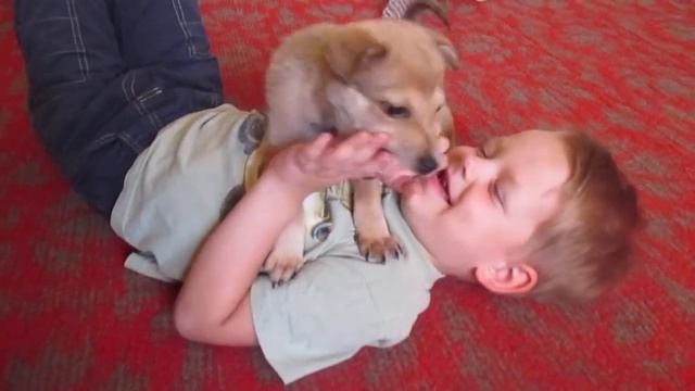 Спасение Животных Донбасса смотреть онлайн