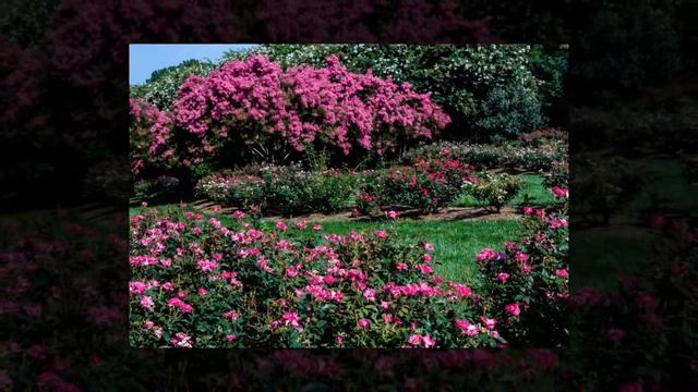North Georgia's Gibbs Gardens in Early Summer смотреть онлайн