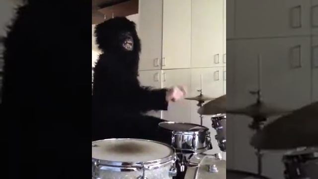 Bruno Mars - Gorilla - Drum Cover смотреть онлайн