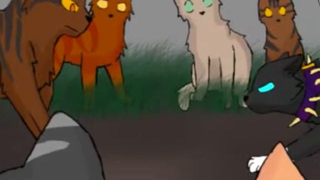 Коты-воители Бич смотреть онлайн