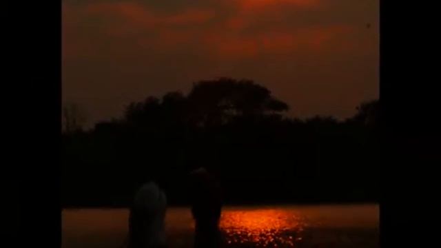 Plovdiv Sunset Je t'aime Lara Fabian смотреть онлайн