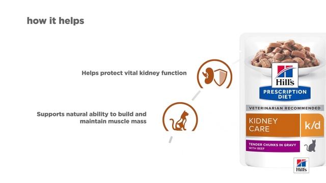 Hill's Prescription Diet Feline k/d Kidney Care смотреть онлайн