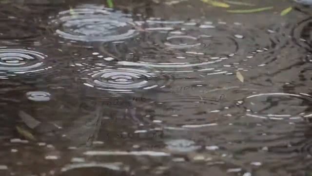 "Встреча одиноких сердец" –INGA смотреть онлайн