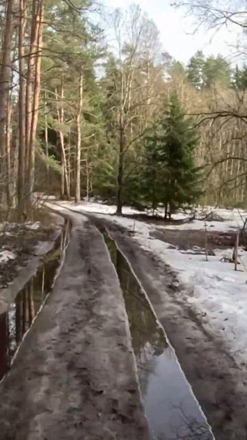 Дорога  к Усадьбе Ниеми/Каннельярви/Лен.область/ 1 апреля/2024/#shortvideo