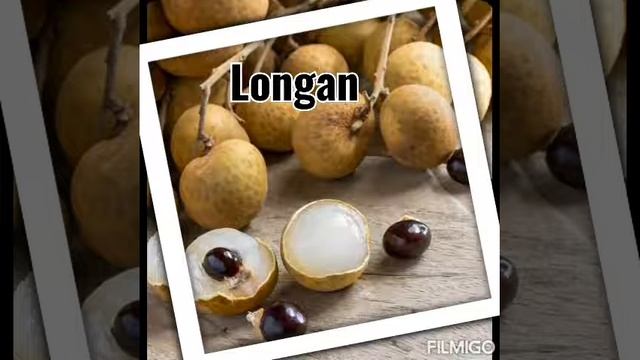 Delhi Public School, GBN, Nursery, Fruits with One Seeds/Many seeds смотреть онлайн