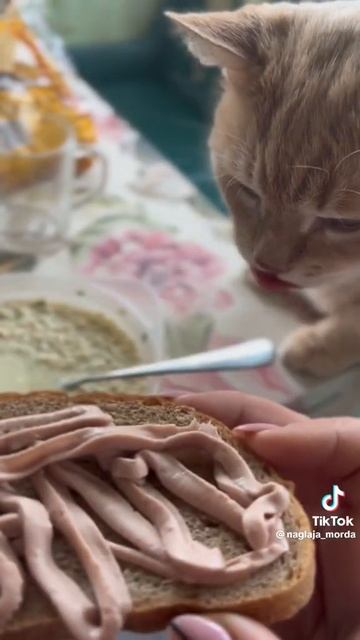 Ой, Настюша 10 лет стобой живу, а ты меня удивляешь как впервый раз... смотреть онлайн