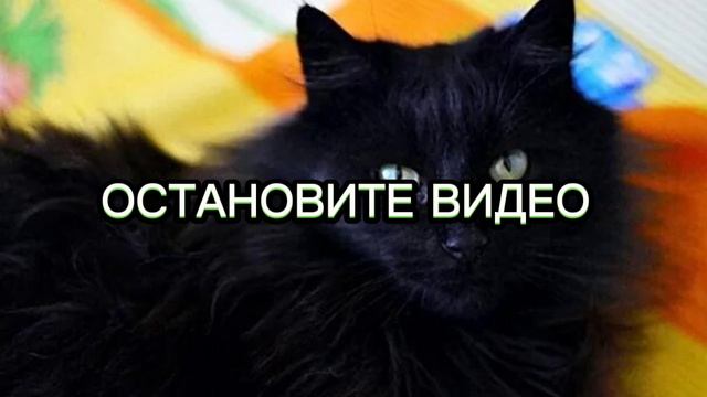 Новое обновление на моем канале: 🤫 смотреть онлайн