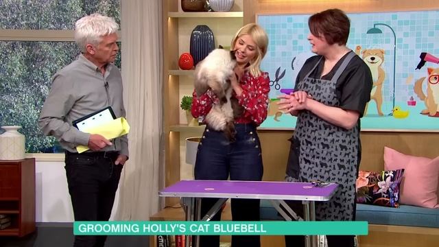 Holly's cat Bluebell - 24th April 2018 смотреть онлайн