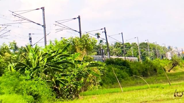 EMU Local train matches the color with the green nature and blue sky | Eastern Railway смотреть онлайн