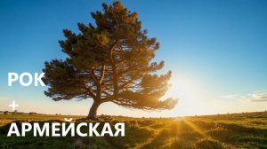 Стоит сосна, река жемчужная течет