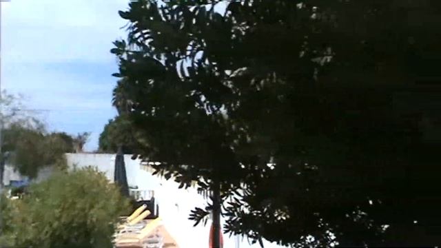 Cicada Singing in Southern Portugal | Nature | August 2019 смотреть онлайн