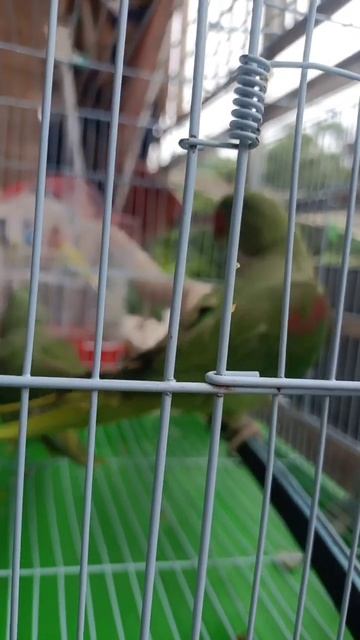 August 7, 2024 смотреть онлайн