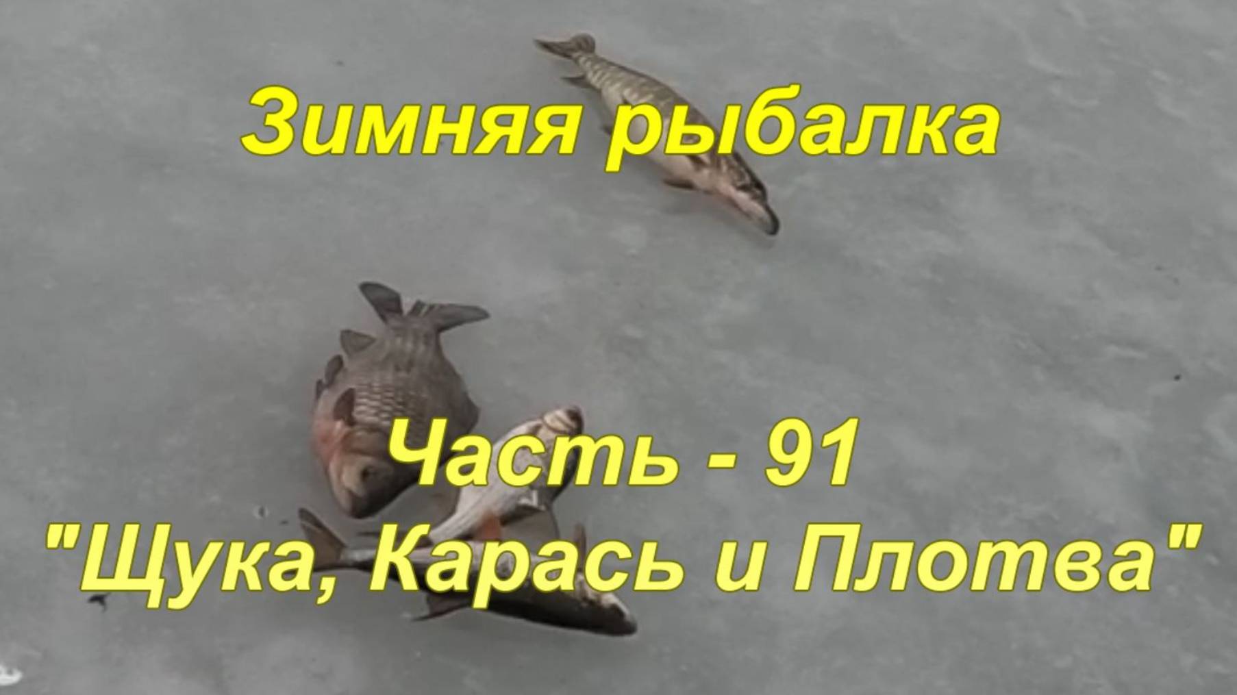 Зимняя рыбалка. Часть - 91. "Щука Карась и Плотва". смотреть онлайн