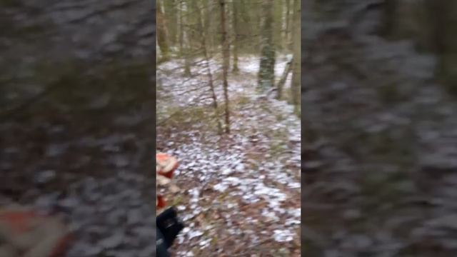 Засидка на кабана.И копейка с дороги. смотреть онлайн