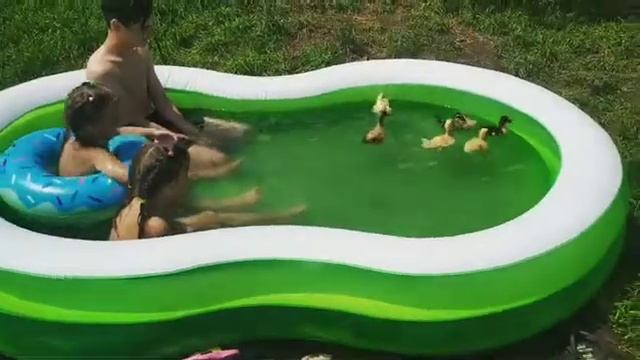 близняшки Рита и Настя