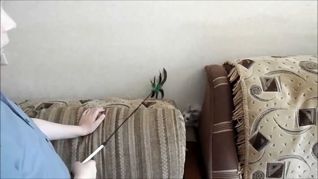 Как мы потеряли Мусю! смотреть онлайн