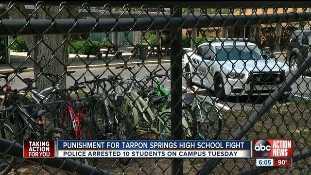 Suspensions handed after Tarpon Springs High brawl смотреть онлайн