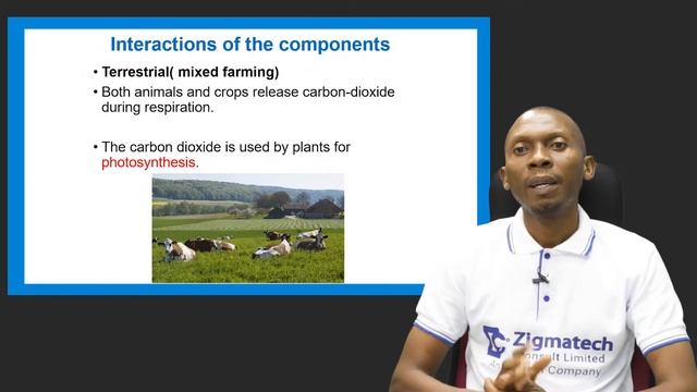 AGRICULTURAL SCIENCE | MEANING, AND IMPORTANCE OF AGRICULTURAL ECOLOGY | EXAM GUIDE | LEARNING HUB смотреть онлайн