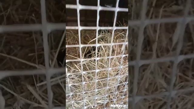 Болезнь не остановит. смотреть онлайн