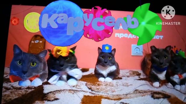 телеканал карусель 8 лет телеканал карусель показывает Катя нет смотреть онлайн
