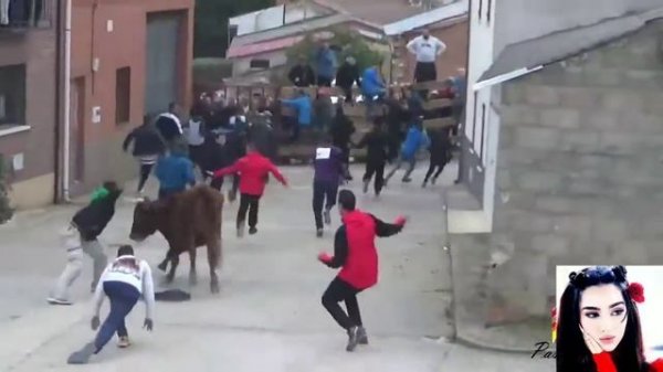 Бык...😁😁😁