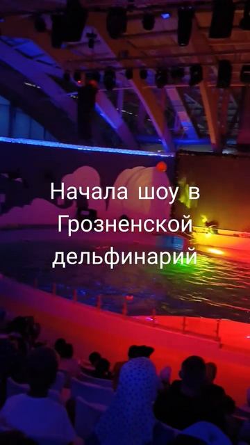 грозный #ахмат #танцы #лезгинка #рассия# дельфин#