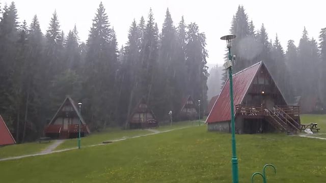 Вили Малина - Пампорово