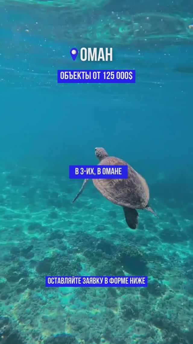 Оман удивляет уникальными возможностями отдыха, жизни и инвестиций смотреть онлайн