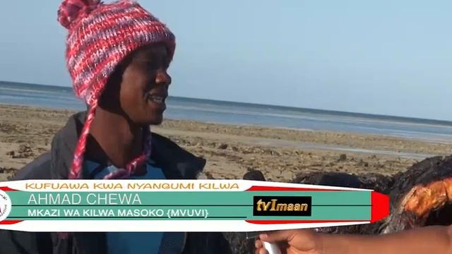 MAKALA| KUFUAWA KWA NYANGUMI KILWA HD 720 смотреть онлайн