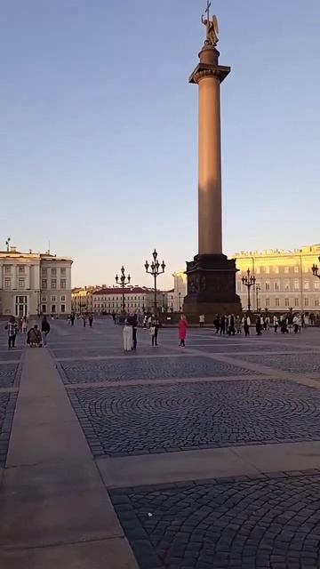 #регби #медведи в Питере#регби детям смотреть онлайн