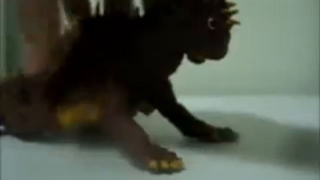 Y-MSF Varan (painted) Review