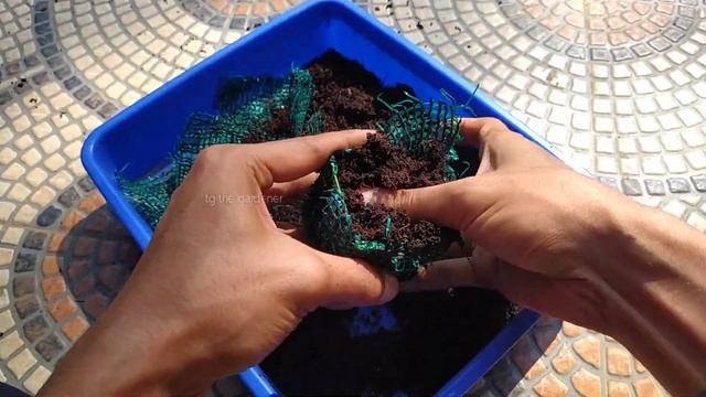 Mini Hanging Balls | Easy Garden Hanging Ideas | Easy Garden Techniques