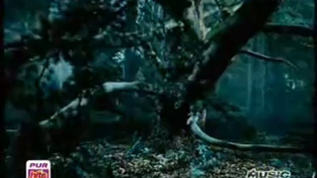 Florent Pagny - Et Un Jour, Une Femme (Vedio Clip)