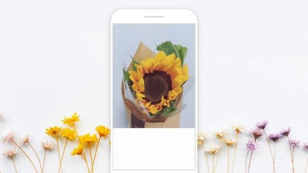 PictureThis-Plant Identifier