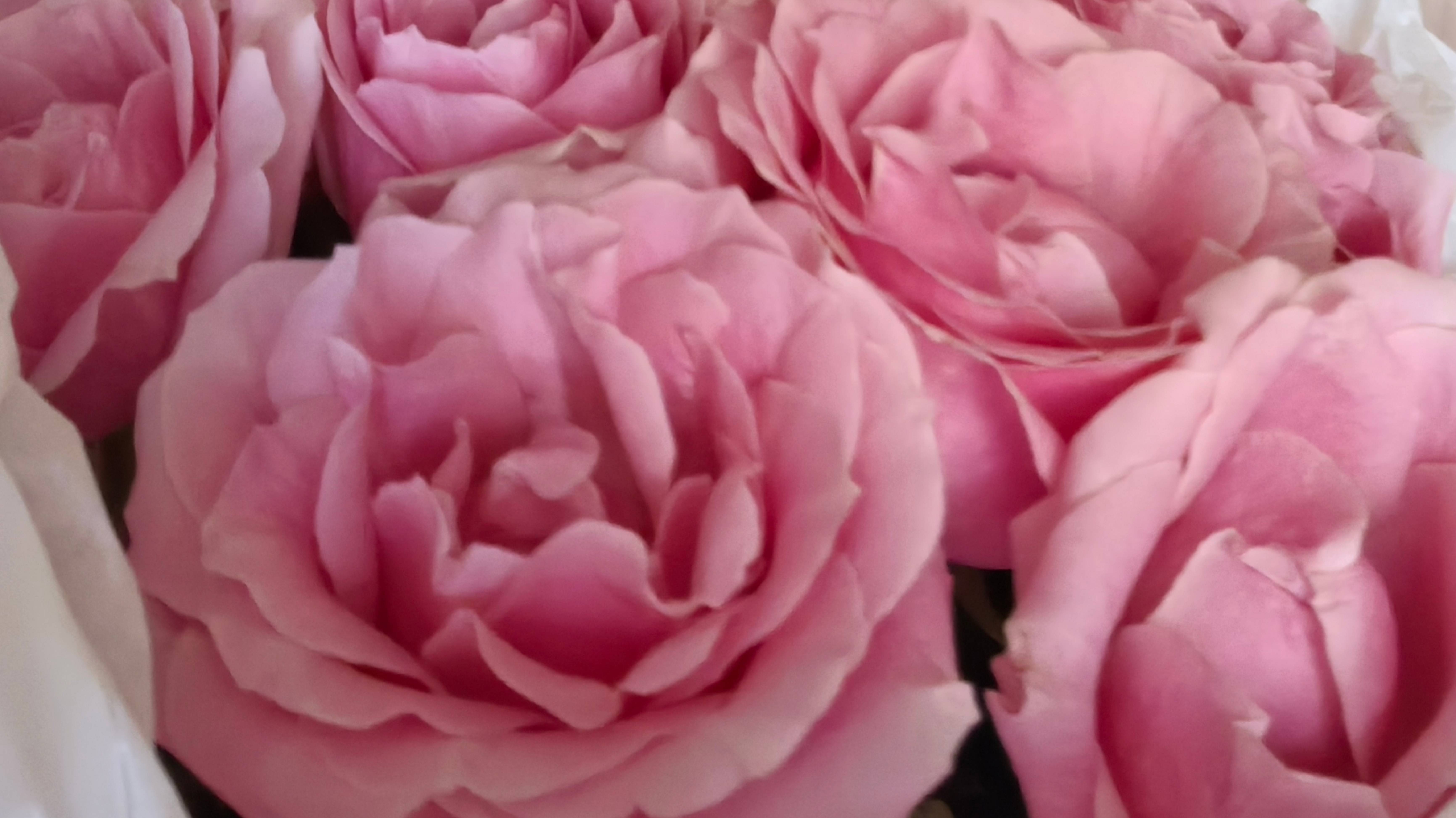 ПОЧЕМУ У ВАС В ПАРЕ ЧЕРЕДА ССОР И РАЗНОГЛАСИЙ БЫЛА ИЛИ ЕСТЬ? #shortvideo #бумеранг #таро #шортс #tar смотреть онлайн